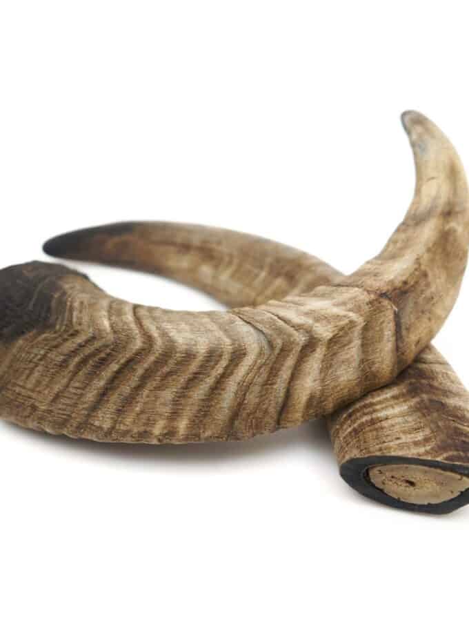 Herders Choice Chews