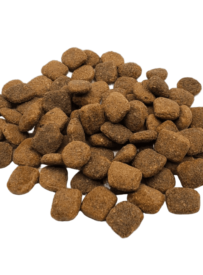 RAWZ - Meal-free Salmon, Dehydrated Chicken & Whitefish Recipe for Dogs