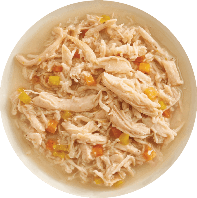 RAWZ - Chicken & Pumpkin